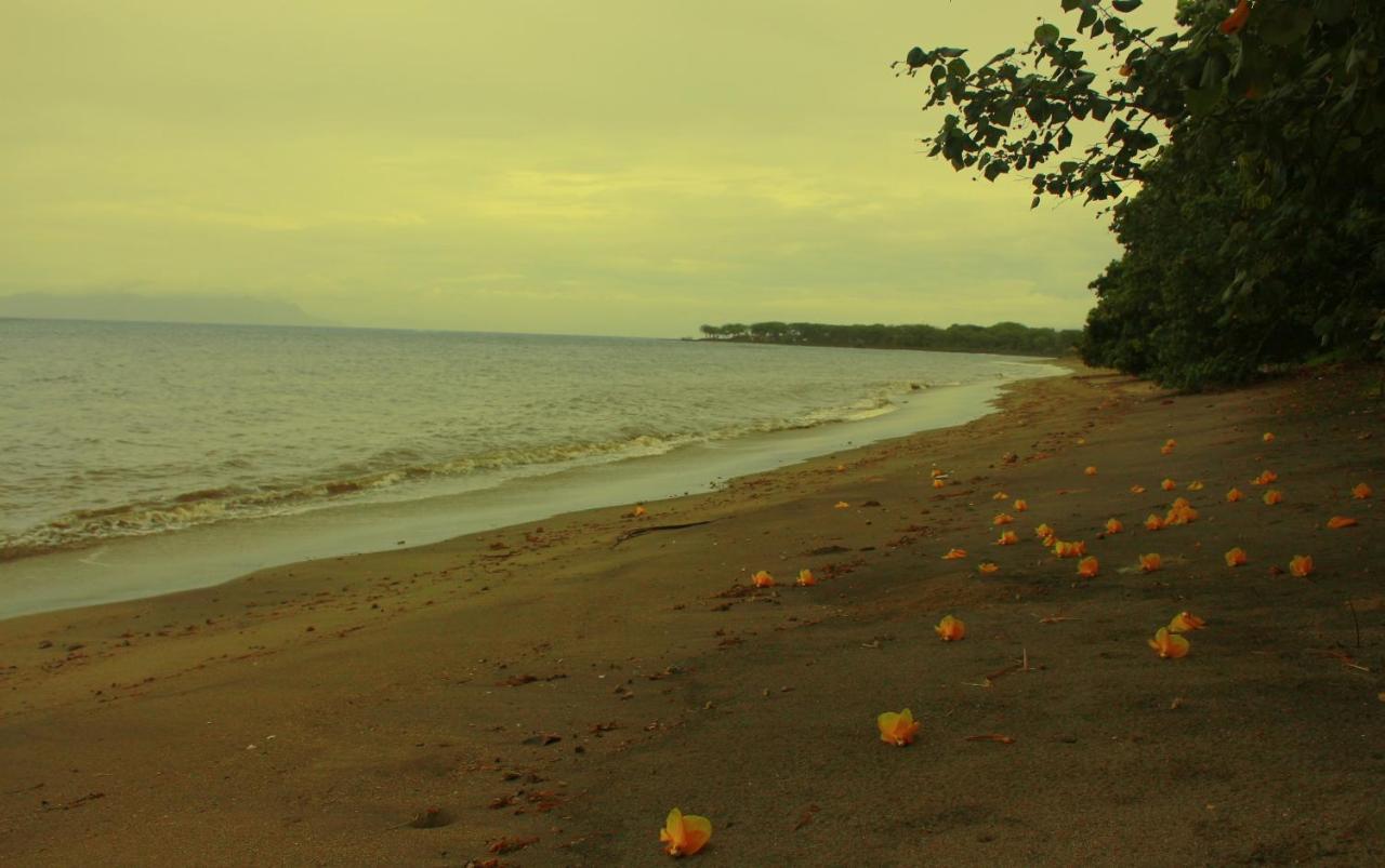 Fx72 Beach Resort Maumere Esterno foto